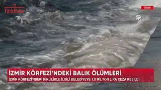 İZMİR KÖRFEZİ'NDEKİ BALIK ÖLÜMLERİ
