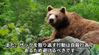 A Bear Attack Incident.  Dr. Hidenobu Toriyoshi, DVM, Ph.D
