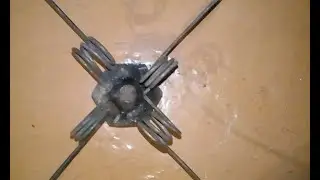 Рыболовный Паук .