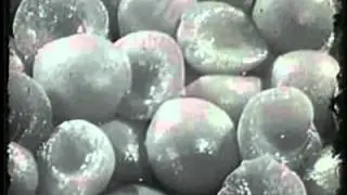 1965 Commercial for ''Diet Delight'' Canned Fruit