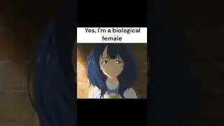 Daily Discord Memes from My Basement