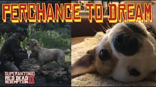 Paranormal Story Time, A Psychic Dog, A Happy Dream