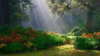 |Nature Tech | Morning Flute Music | Mountain Flute(बाँसुरी) | Meditation Music #flute @NatureTech2021