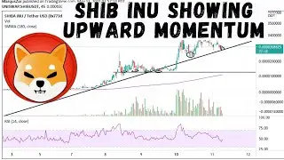 SHIB INU (SHIB) IS SHIB SHOWING UPWARD MOMENTUM