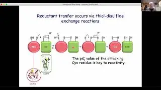 2022-06-02 Emerging MR Webinar: Redfield, Gronenborn