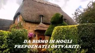 Jelisaveta Danilovic   biography