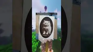 FUNNY MEMES!