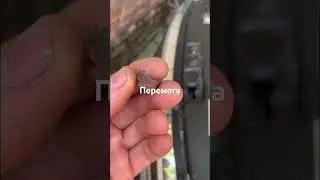 Форсунка переможена