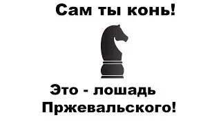Пржевальский М Н  придуманный и настоящий