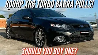 MY 800HP XR6 TURBO OVERVIEW, REVIEW, PULLS & EXTERNAL GATE!