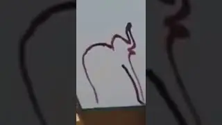অলৌকিক ঘটনা 🔥🔥 #elephant