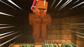 Minecraft But Villager Beat The Game For Me