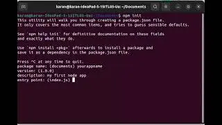 Npm Init