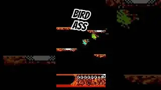 Fancy a game of BIRD ASS??