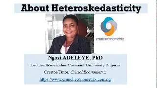 Understanding Heteroskedasticity 