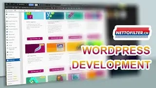 WordPress Website Bug Checking with New Backup and Security.