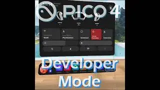 PICO 4 Developer Mode  (How to Enable and Disable)