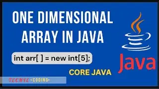 One Dimensional Array in Java | Array Creation | Store and Display array Elements 