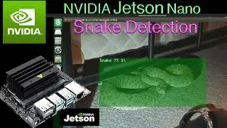 NVIDIA Jetson Nano Snake Detection ( SSDlite MobileNet V2 )