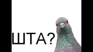 Мои хобби