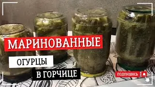 ОГУРЦЫ НА ЗИМУ В ГОРЧИЦЕ