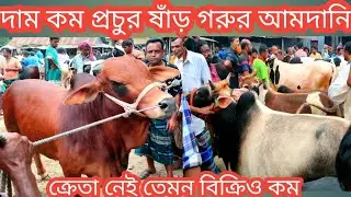 gorur hat ||ক্রেতা নেই দাম কম ||পালার উপযোগী শাহীওয়াল ও ক্রস গরুর দাম||প্রচুর আমদানি বিক্রি কম