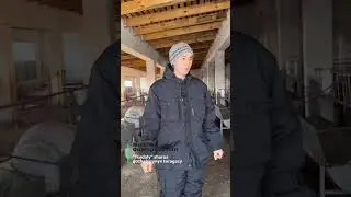 22 января 2024 г.