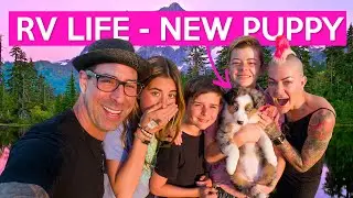 RV LIVING- Day in the life with a NEW PUPPY!
