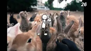 Japan's Rabbit Island 