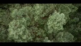 Drone Practice In Virginia