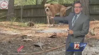 Best News TV comedy fails