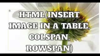HTML PART 4
