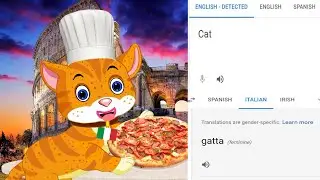 Cat in different languages meme