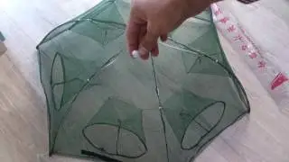 How to use an umbrella crayfish trap