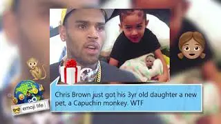 Chris Brown gets his daughter a new pet & Beyonce tries to stop production of a beer