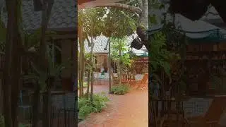 #placegotogarut #kuliner #food #jajanan Coffeshop estetik di Garut