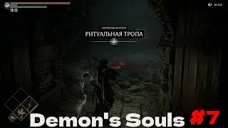 Demon’s Souls👀!!!7-Й СТРИМ!!!