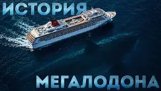Мегалодон жив? История самого могущественного хищника Земли!