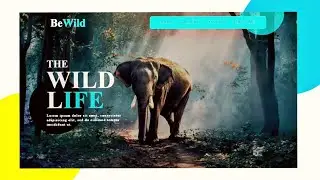 Complete website in html css and javascript