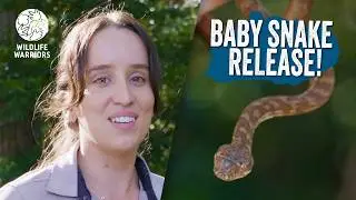 An interesting day for the Rescue team | Wildlife Warriors Missions