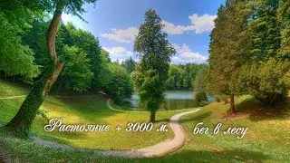Бег в лесу, связь с природой расстояние + 3000м.
