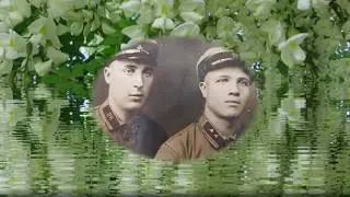 Белой акации гроздья душистые
