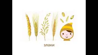 Квест-игра "Секреты лекарственных растений"