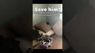 Save creature?