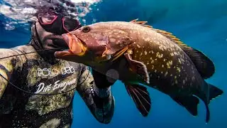 Hole hunting for grouper in Croatia 🇭🇷 | Northern Adriatic spearfishing.