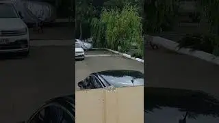 Работник года в деле 😃