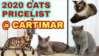 Cat Pricelist 2020 | CARTIMAR petshop
