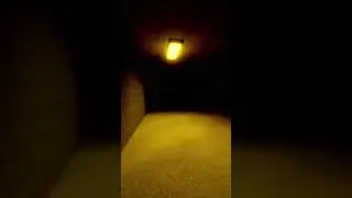 раблакс