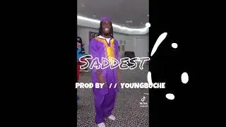 (NEW) 