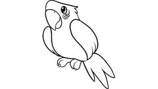 How to draw a parrot